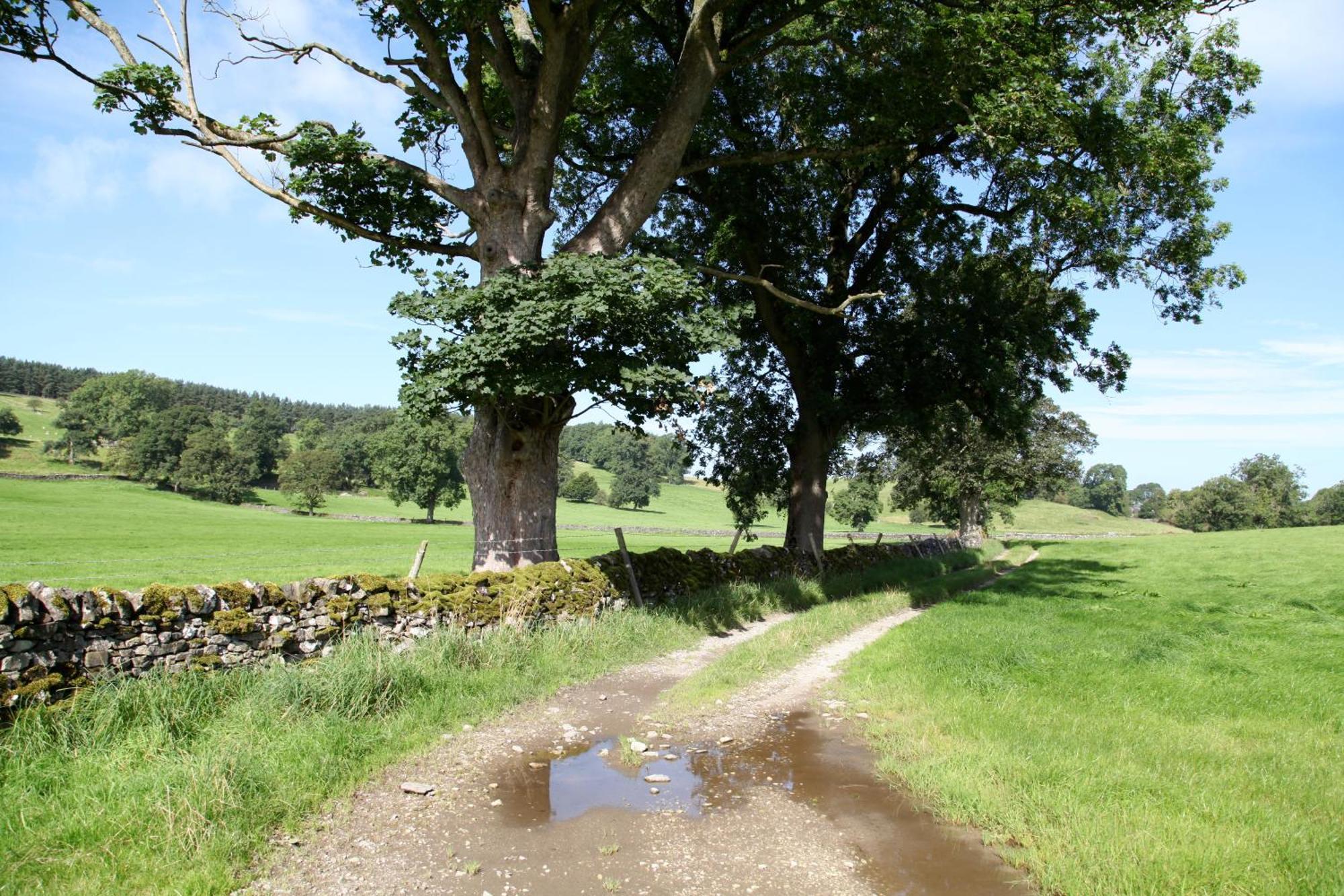 Green Grove Country House Malham Exterior photo