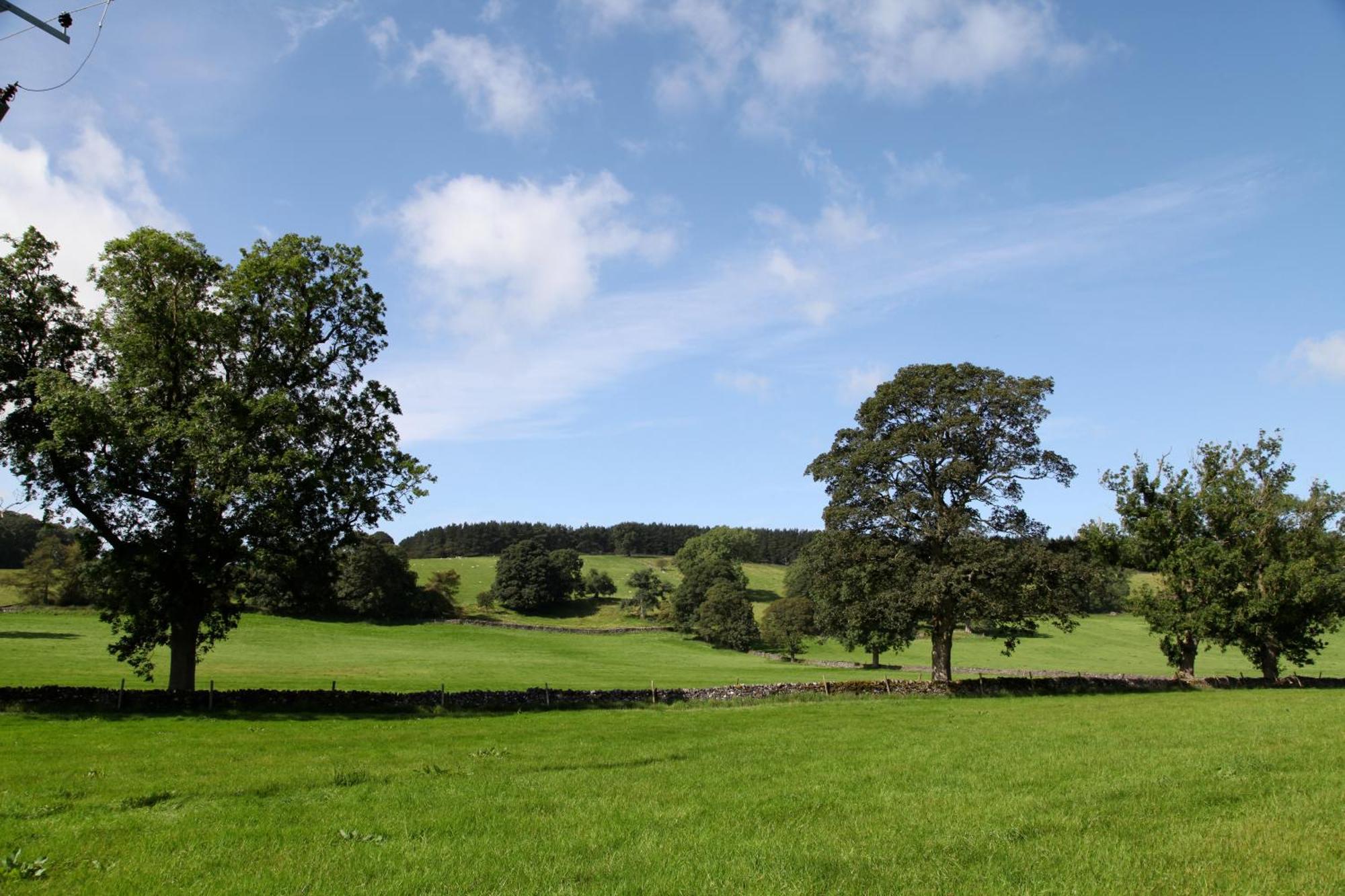 Green Grove Country House Malham Exterior photo