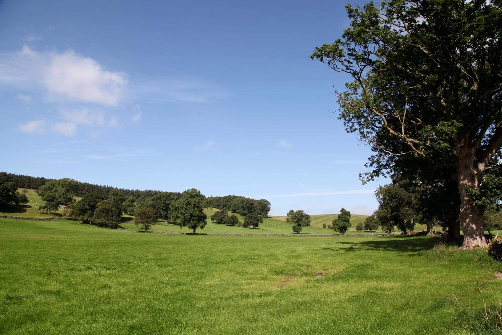 Green Grove Country House Malham Exterior photo